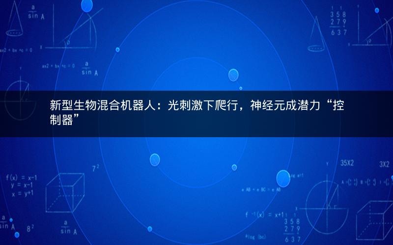 新型生物混合机器人：光刺激下爬行，神经元成潜力“控制器”