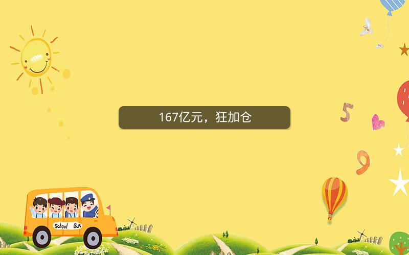 167亿元,狂加仓 167亿元,狂加仓