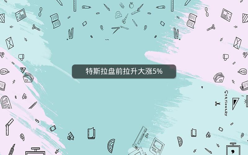 特斯拉盘前拉升大涨5%