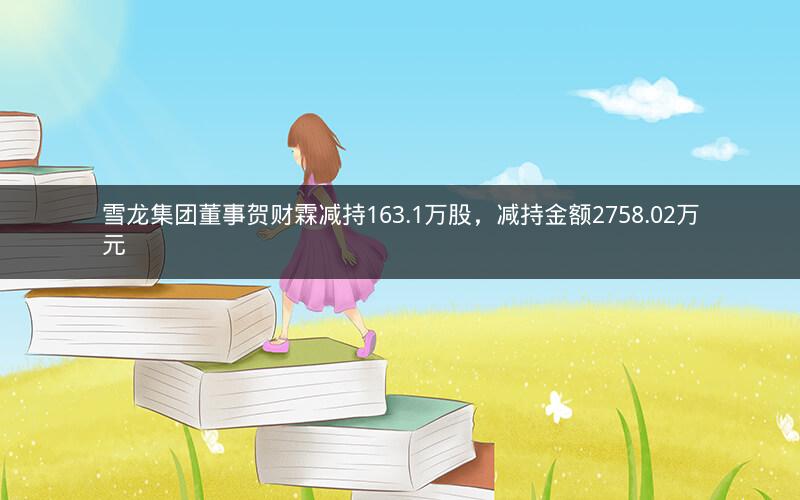雪龙集团董事贺财霖减持163.1万股，减持金额2758.02万元