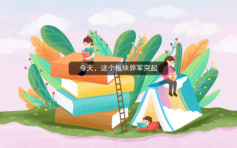 今天，这个板块异军突起