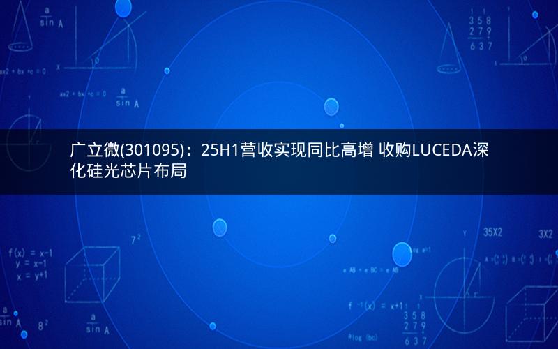 广立微(301095)：25H1营收实现同比高增 收购LUCEDA深化硅光芯片布局