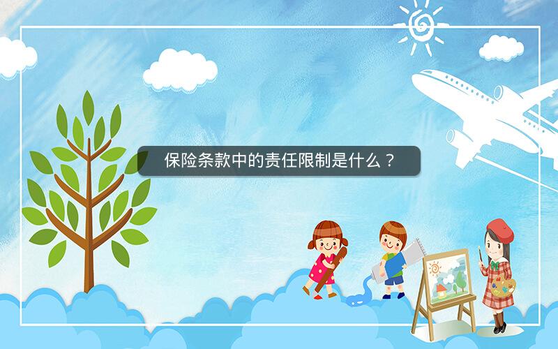 保险条款中的责任限制是什么？