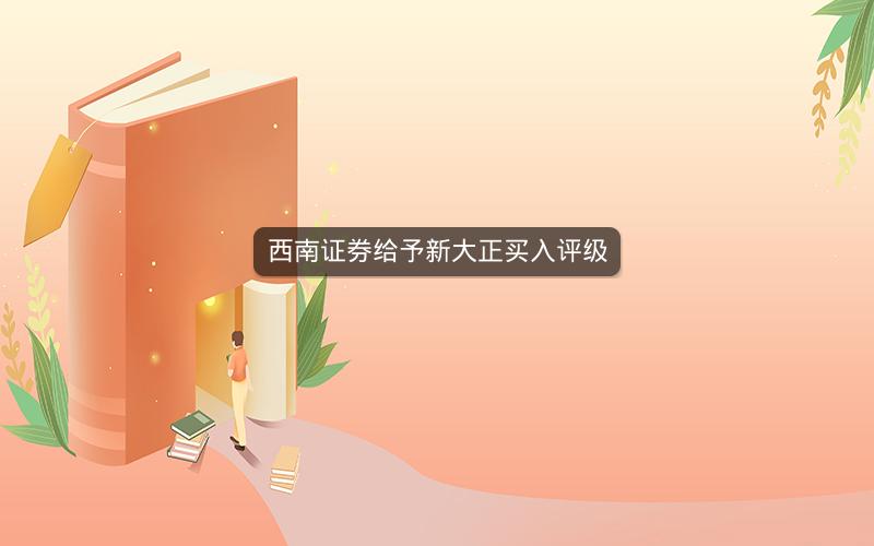 西南证券给予新大正买入评级