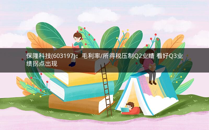 保隆科技(603197)：毛利率/所得税压制Q2业绩 看好Q3业绩拐点出现