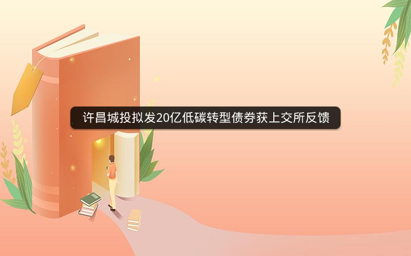 许昌城投拟发20亿低碳转型债券获上交所反馈