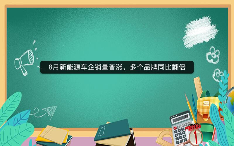 8月新能源车企销量普涨，多个品牌同比翻倍