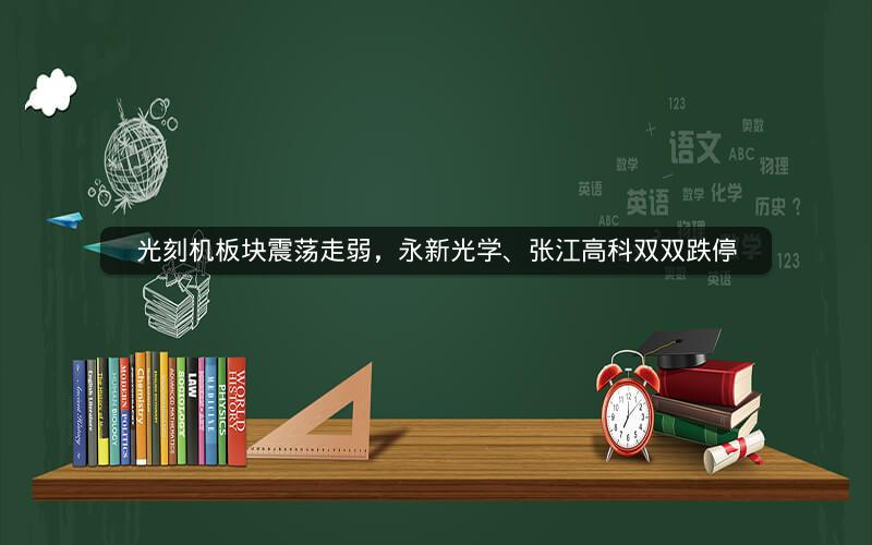 光刻机板块震荡走弱，永新光学、张江高科双双跌停