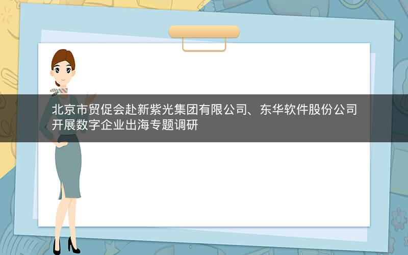 北京市贸促会赴新紫光集团有限公司、东华软件股份公司开展数字企业出海专题调研